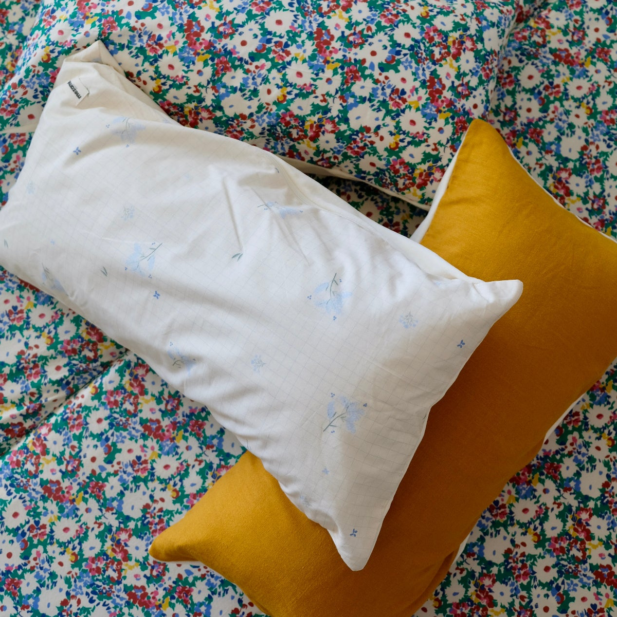 Bleuets +One Cushion