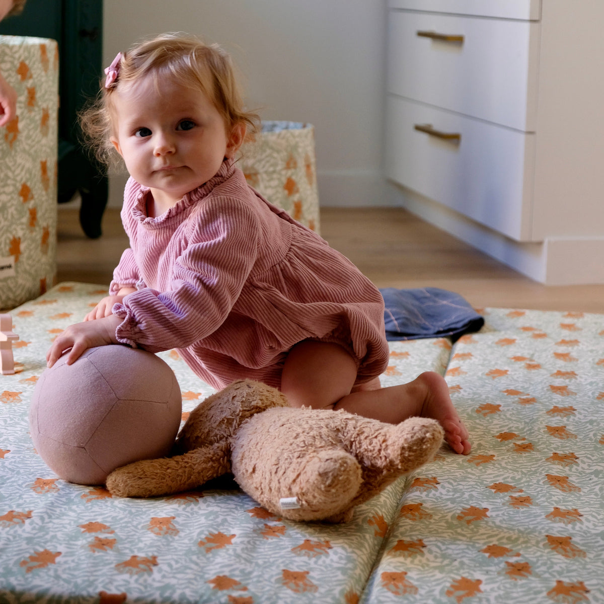 Funda Teddy